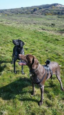 17862612_10155043617820449_2041271476648839020_n